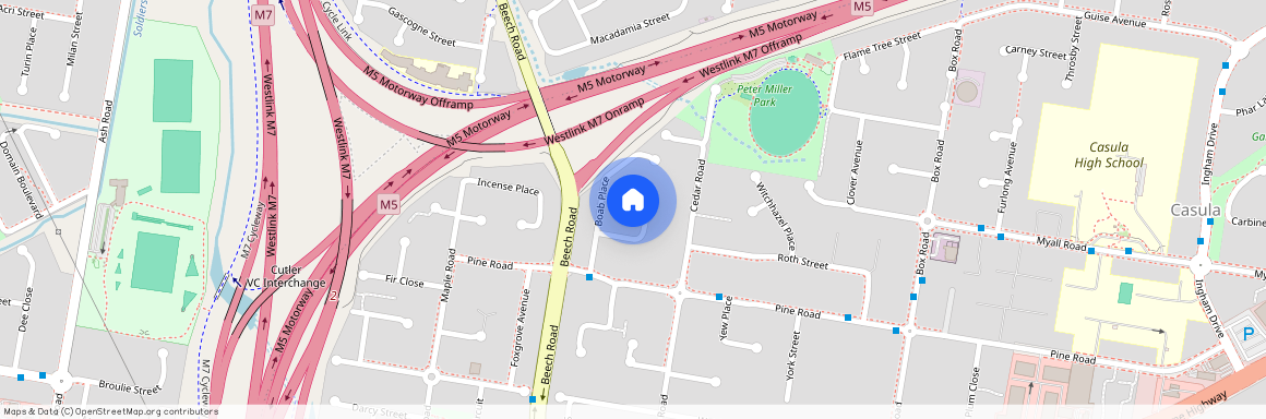 12 Nettletree Place, Casula