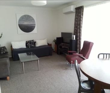 Merivale Unit Across The Road From Hagley Park - Photo 4