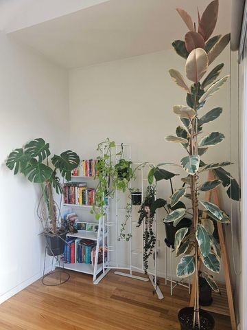 Airport West - Photo 2