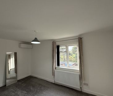 Dogwood Walk - Photo 3