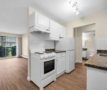 FERNDALE COURT — 1 Bed 1 Bath A - FEC - Photo 1
