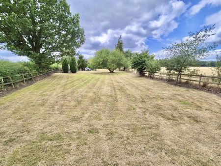 4 bedroom semi-detached house to rent - Photo 2