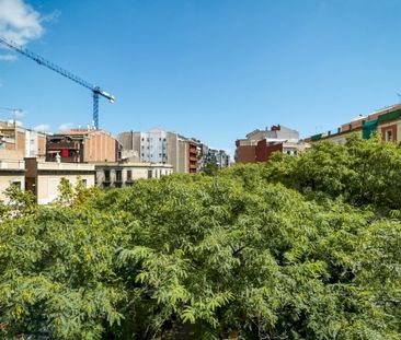 Charming room in Calle Valencia, El Clot - Photo 4