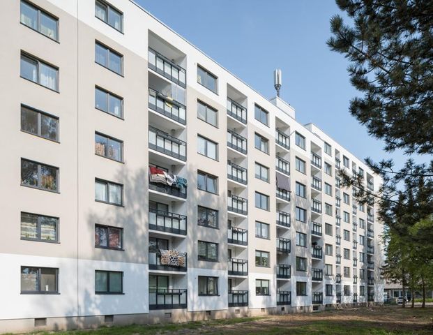 Demnächst frei! 3-Zimmer-Wohnung in Göttingen Grone-Süd - Foto 1