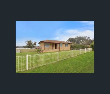 Charming Family Home in a Quiet West Albury Pocket - Photo 6