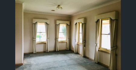 Big and Beautiful- APPLICATION LINK IN DESCRIPTION - Photo 3