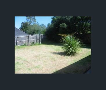 CLOSE TO EVERYTHING - Photo 3