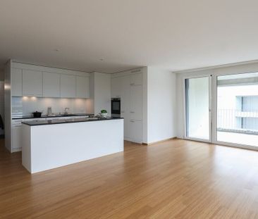 modern and spacious apartment in the Spitzallmend - Foto 2