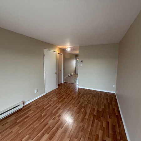 BEAU 41/2 - LIBRE IMMÉDIATEMENT - PRÈS CÉGEP - Photo 3