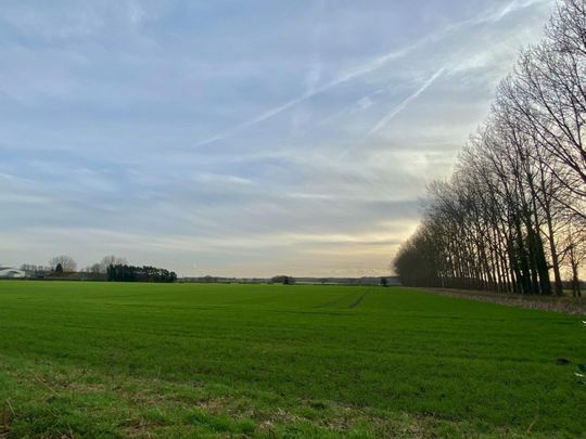 5 bedroom House To Let - Photo 1