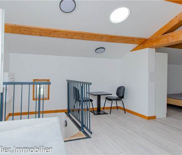 Location Appartement 1 pièce 28m² CHATTE 38160 - Photo 6