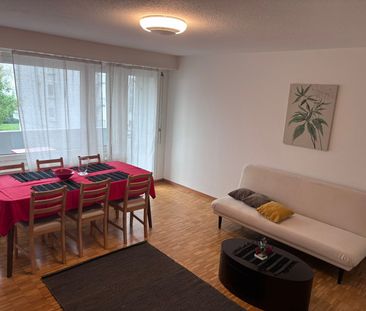 Appartement 2.5-Zimmer entièrement meublé récemment rénové à Dübend... - Photo 5