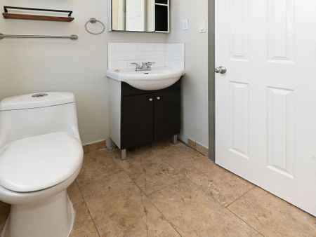 For Lease - 355 Bronson Avenue, Ottawa Centre, Ontario - Photo 5