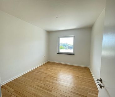 Vejle - Nørremarken, pæn, stor, lys 4V - Photo 3