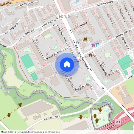 Schwarzackerstr, 60, 4303 Kaiseraugst