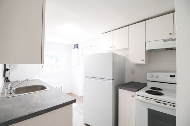 275 Bronson Avenue - 1 Ottawa ON K1R 6H7 - Photo 1