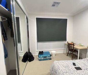 Hectorville - Photo 2