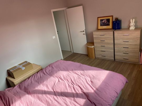Appartement te huur in Kruisem - Photo 1