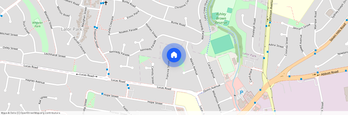 19a Francine Street, NSW 2147, Seven Hills