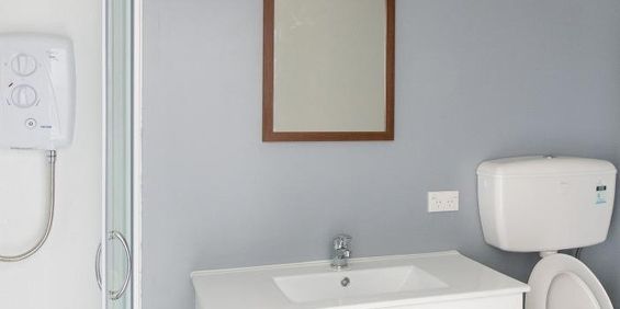 Newly renovated studio room! - Photo 3