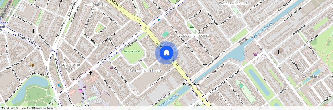 Professorenbuurt, 9714 CL, J.C. Kapteynlaan, Groningen