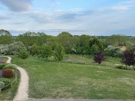 Betony Road, Rugby - Photo 4