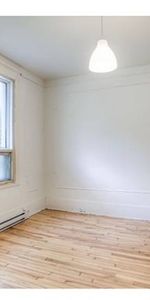 Spacious and bright 5-plex in Villeray for $2675/month - Photo 3