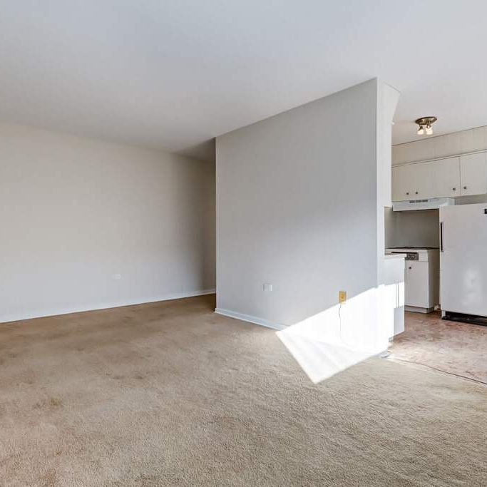 Renovated Suite - 1 Bedroom - Photo 1