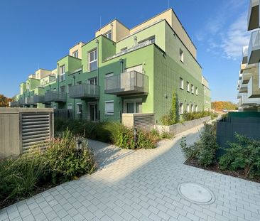 INA - Pärchenwohnung mit Freifläche nähe Wasserspielplatz Leberberg - Photo 1