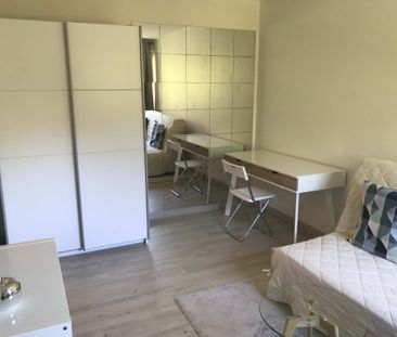 Location Appartement 1 pièce 19m² MEYLAN 38240 - Photo 1