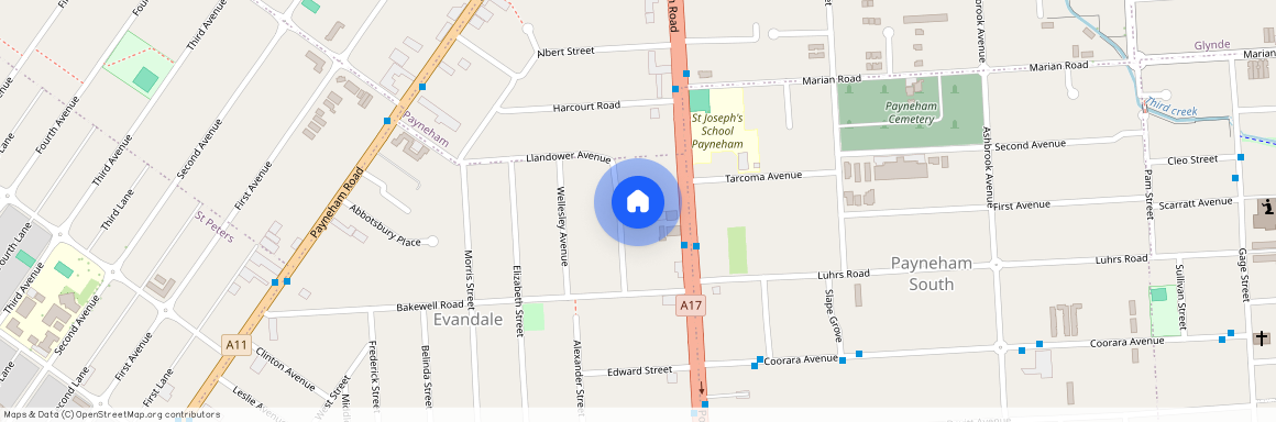 Llandower Avenue 41, SA 5069, Evandale