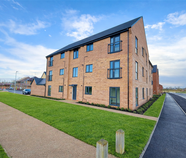 Verde Avenue, Bedford - Photo 6