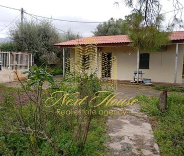 Μονοκατοικία για ενοικίαση - Πάτρα, - Photo 2