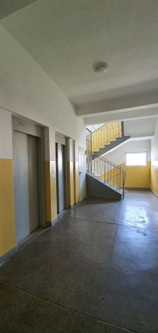 mieszkanie na wynajem Szczecin Śródmieście - Photo 3