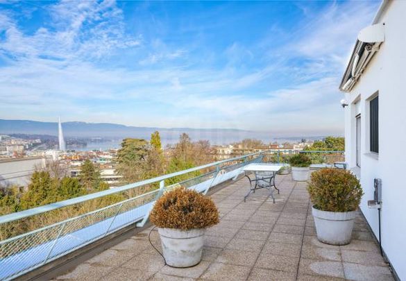 Magnifique Appartement - Genève - Photo 1