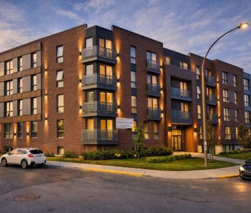 Charmant 3½ situé dans le secteur Notre-Dame-de-Grâce (NDG) - Photo 1