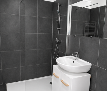 Location Appartement 1 pièce 24m² CAHORS 46000 - Photo 4