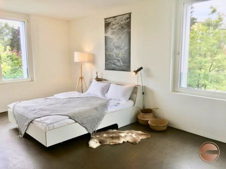 STILVOLLES 4.5 ZI. APARTMENT MITTEN IN DER STADT / STYLISH 4.5 ROOM APARTMENT IN THE MIDDLE OF CITY - Photo 5
