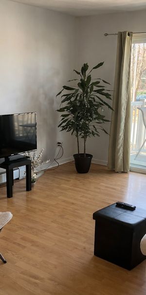 BEAU 5½| INTERNET-CHAUFFAGE-EAU CHAUDE - Photo 1