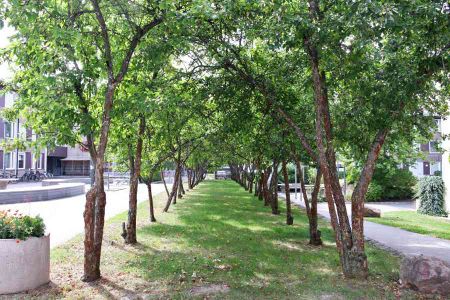 Flamman, Västanågatan 22.306 - Photo 3