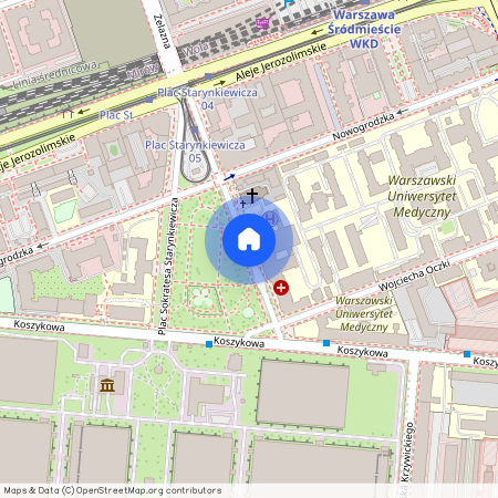 Warszawa, Śródmieście, Centrum, Lindleya, Williama