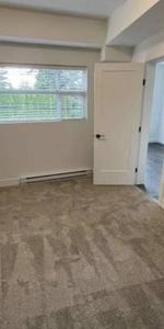 Brand New 2Bed/2b - Photo 4