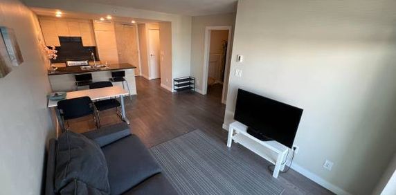 $2,500 Furnished 560 SF One bedroom plus Den - Photo 2