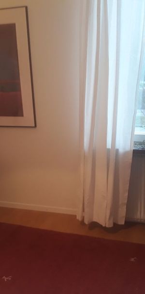 Dag Hammarskjölds väg, Lund - Photo 1