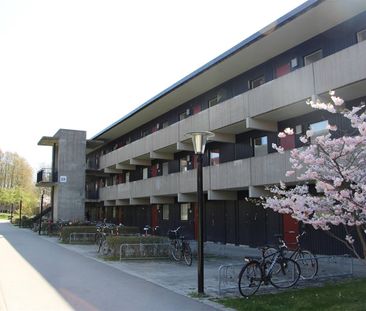 Vildandsvägen 26 B - Photo 6