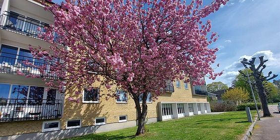 Sibbhult, Skåne, Östra Göinge - Foto 3