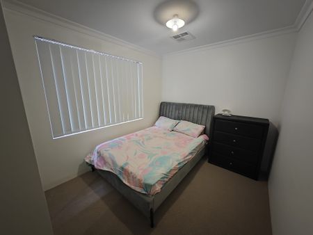 ROOMS In All FEMALE-HOUSEHOLD!! BRAND NEW FURNISHINGS!! - Photo 2