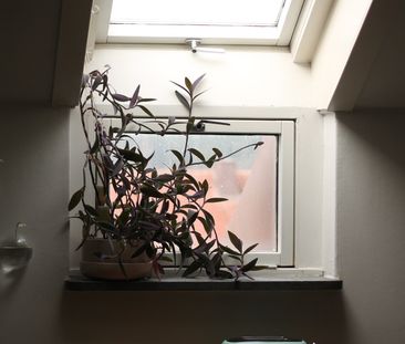 Ekängsgatan, Borås - Photo 1