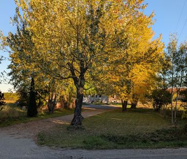 For Lease - 554177 Mono-Amaranth Townline Unit# A, Mono, Ontario - Photo 6