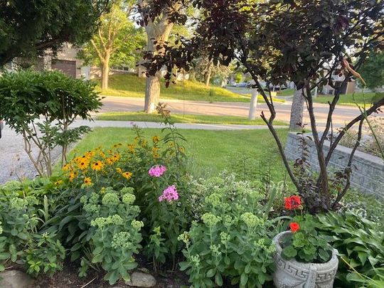 For Lease - 334 Chester Le Boulevard Unit# Main, Toronto, Ontario - Photo 1